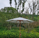 Green Parasol