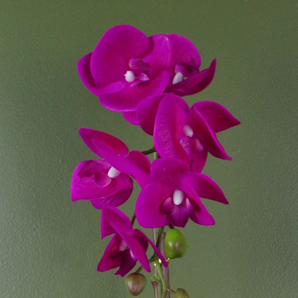 46cm Artificial Orchid Dark Pink / Gold