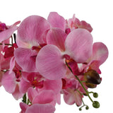 50cm Artificial Orchid with Glass Planter Pink