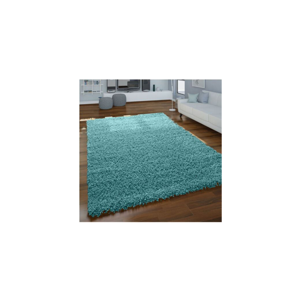 DUCK EGG BLUE SHAGGY RUGS 160 x 230