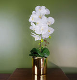 52cm Artificial Orchid Large - White / Gold