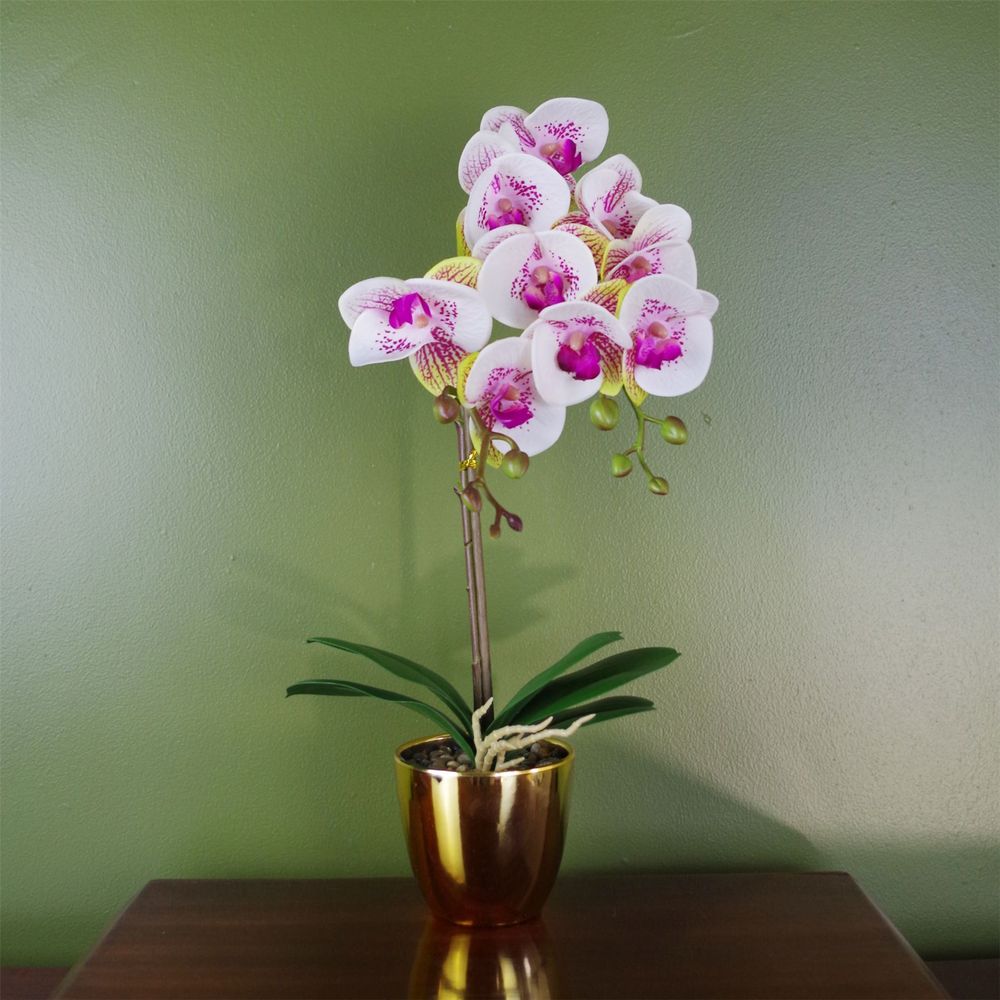 48cm Harlequin Orchid Artificial  - Pink with Gold Pot