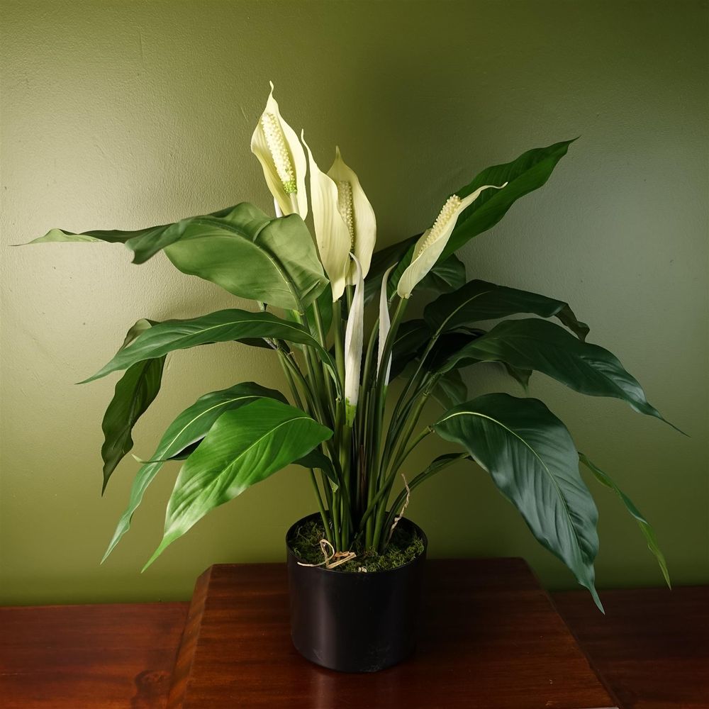 Artificial Peace Lily White Spathiphyllum