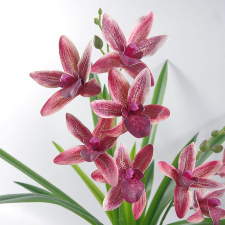 50cm Dark Pink Artificial Orchid in Ceramic Planter