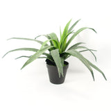 40cm Artificial Aloe Succulent Plant