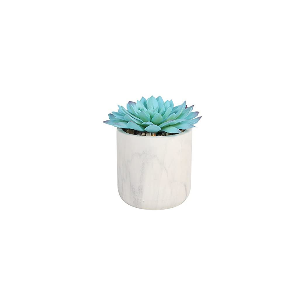 ARTIFICIALPLANT BLUE SUCCULENT WHITE POT