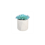 ARTIFICIALPLANT BLUE SUCCULENT WHITE POT