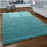 DUCK EGG BLUE SHAGGY RUGS 160 x 230