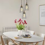 3-Lights Cage Pendant Lamps Ceiling Light Fixtures~1422