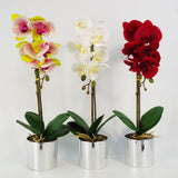 46cm Artificial Orchid Red with Silver Pot