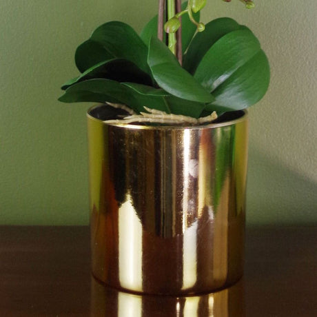 52cm Artificial Orchid Large - White / Gold