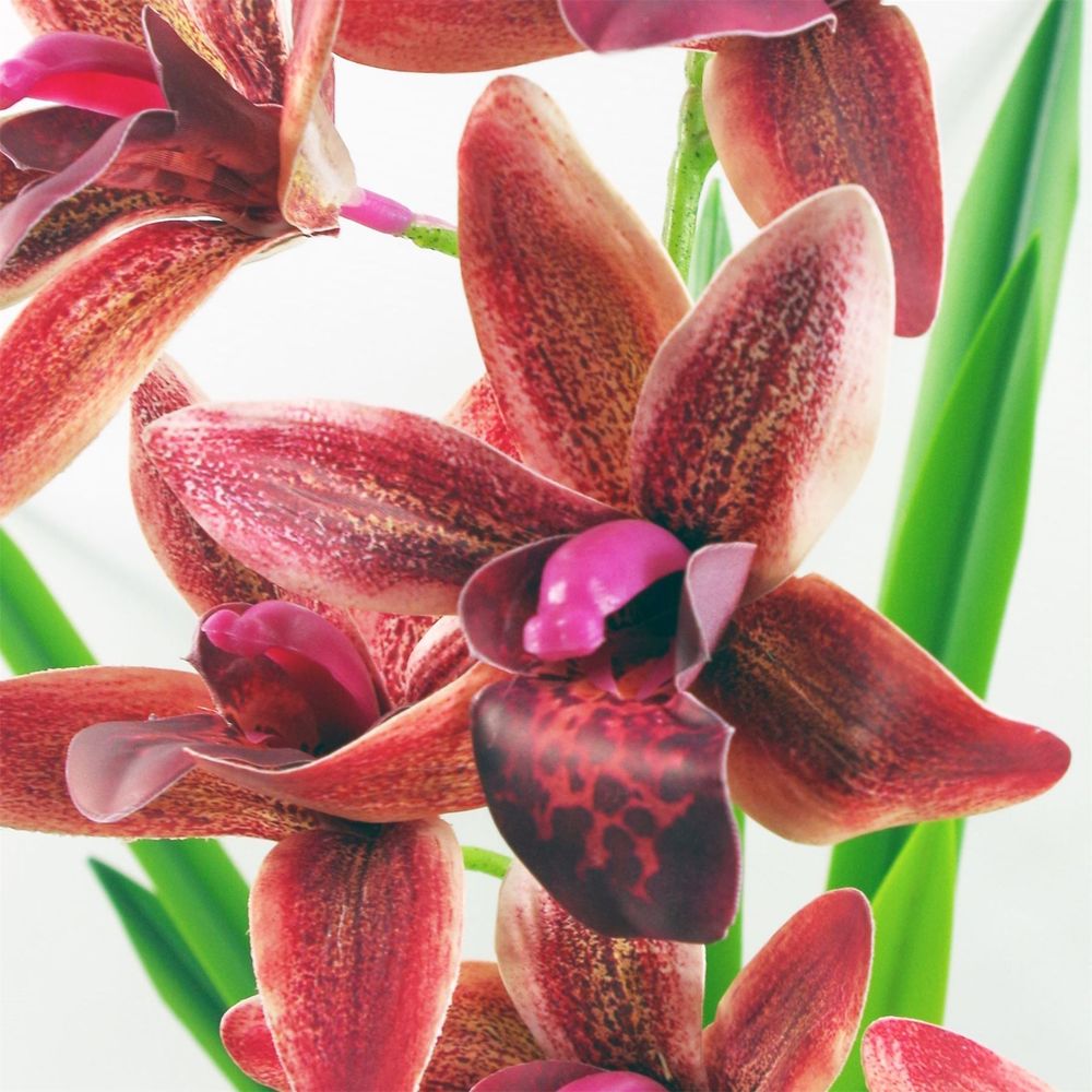 50cm Dark Pink Artificial Orchid in Ceramic Planter