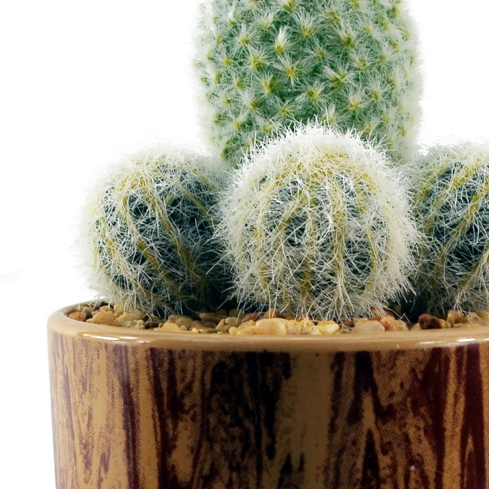 20cm Artificial Cactus Arrangement in Ceramic Planter