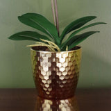 50cm Phalaenopsis Orchid Artificial - Dark Red - Gold Pot