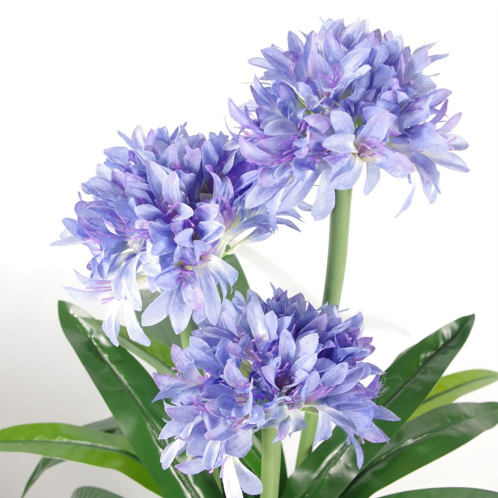 90cm Premium Artificial Agapanthus with pot BLUE