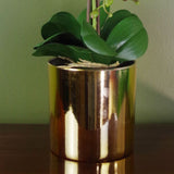 52cm Artificial Orchid Large - Purple / Gold