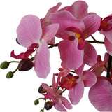 50cm Artificial Orchid with Glass Planter Pink