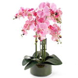 50cm Artificial Orchid with Glass Planter Pink