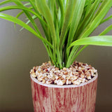 35cm Artificial Grass Plant with Contemporary Ceramic Planter and Metal Stand set