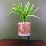 35cm Artificial Grass Plant with Contemporary Ceramic Planter and Metal Stand set