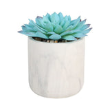 ARTIFICIALPLANT BLUE SUCCULENT WHITE POT